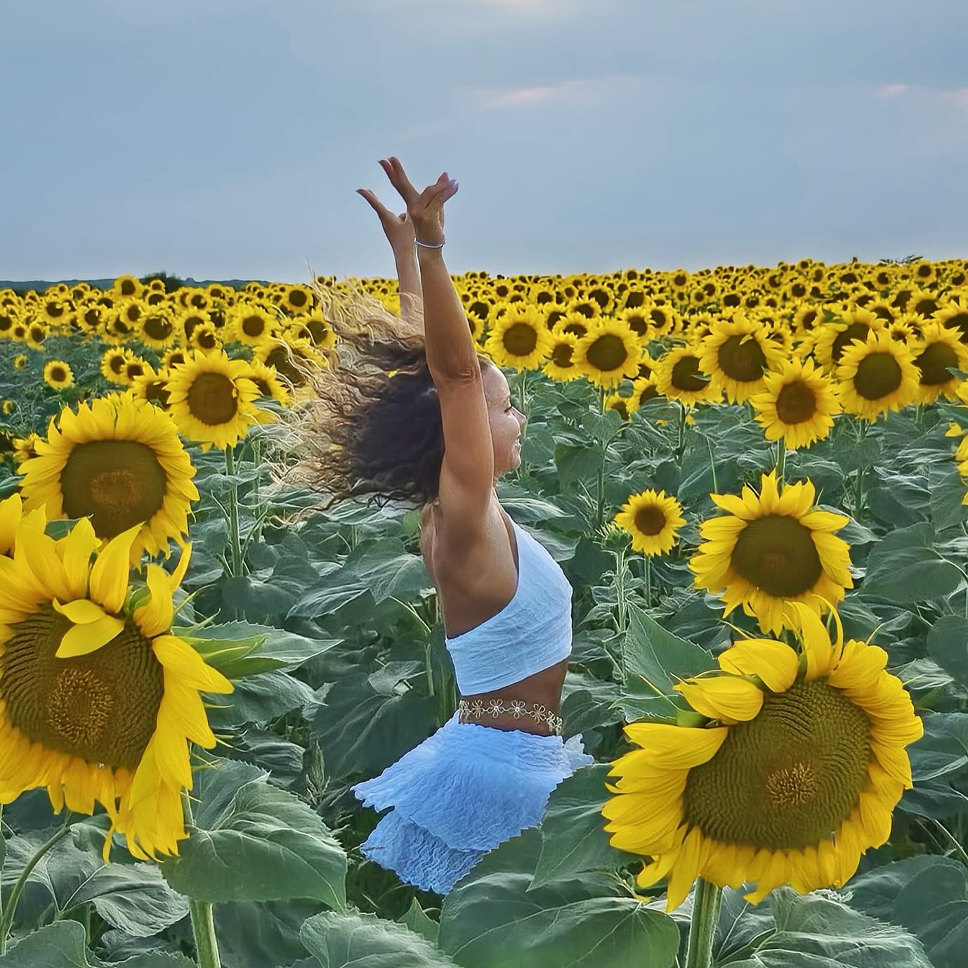 Yoga among sunflowers