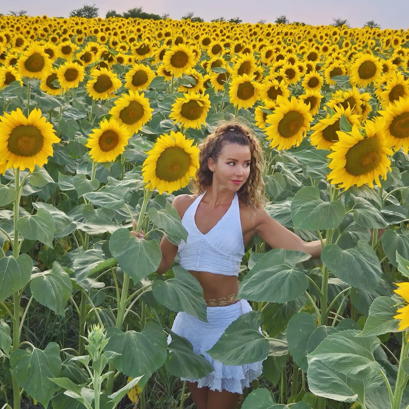 Ananda ZenFit in a sunflower field